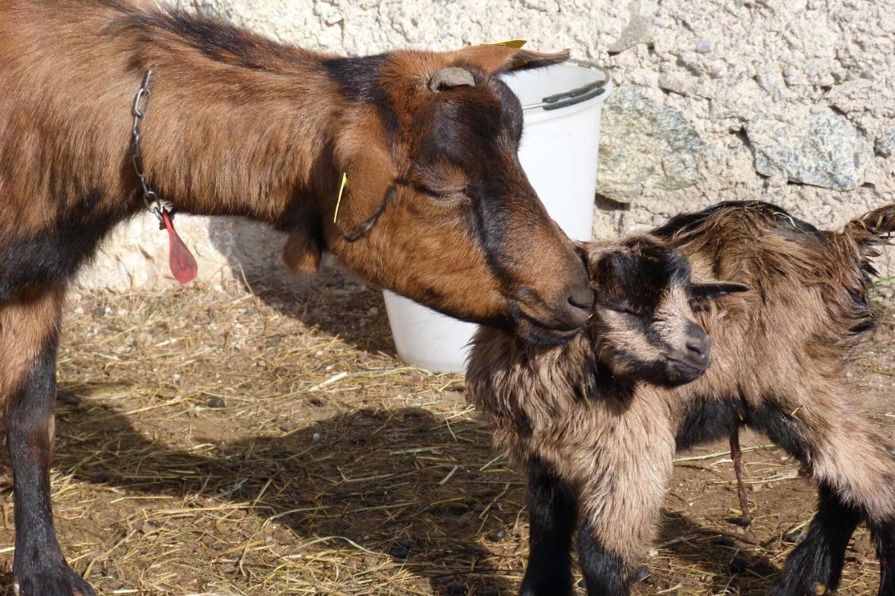 Agriturismo La Meta Pieve di Bono Екстериор снимка