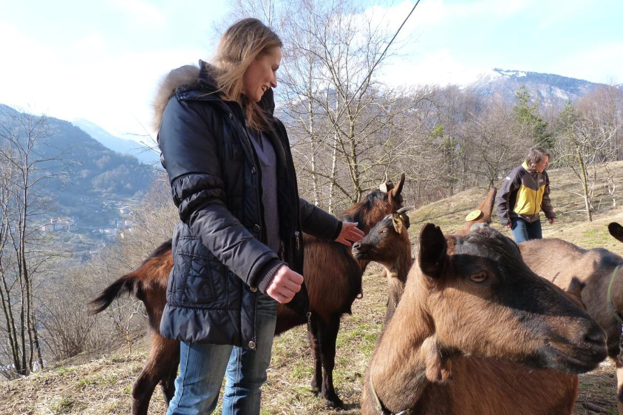 Agriturismo La Meta Pieve di Bono Екстериор снимка